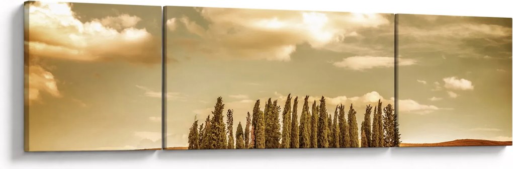 Obraz leśnej łąki (170x50 cm)