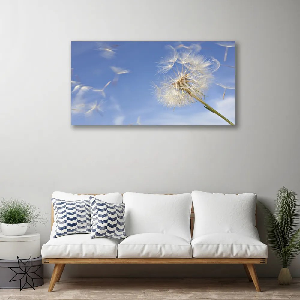 Obraz na płótnie Puszysty Dmuchawiec