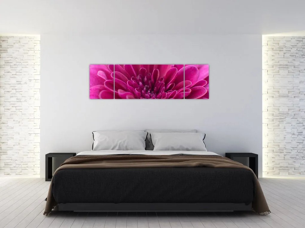 Obraz kwiatu (170x50 cm)