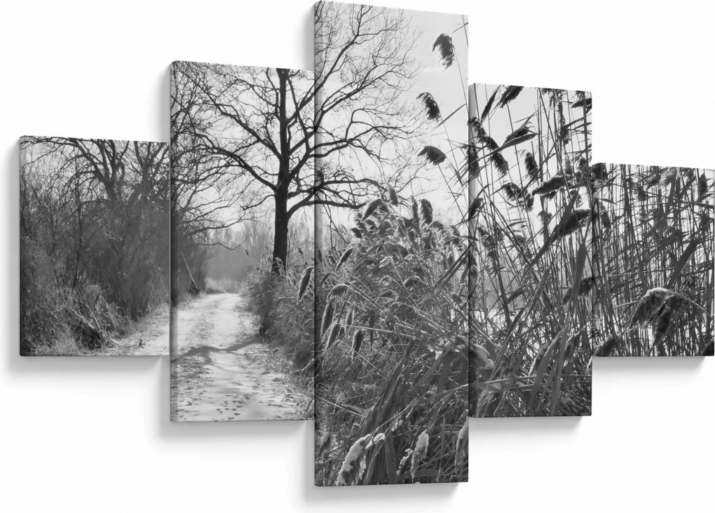 Obraz - Pola w zimie (125x70 cm)
