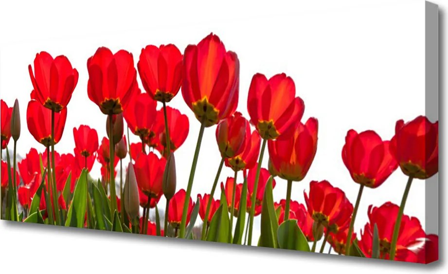 Fotoobraz na płótnie Pastelowy Ogród na Ścianę