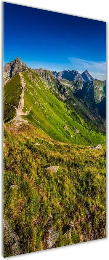 Fotoobraz szklany na ścianę do salonu Tatry