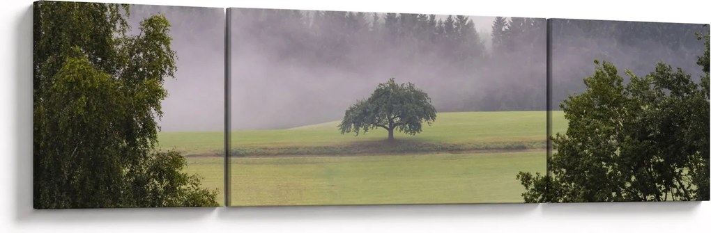 Obraz łąki z drzewem (170x50 cm)