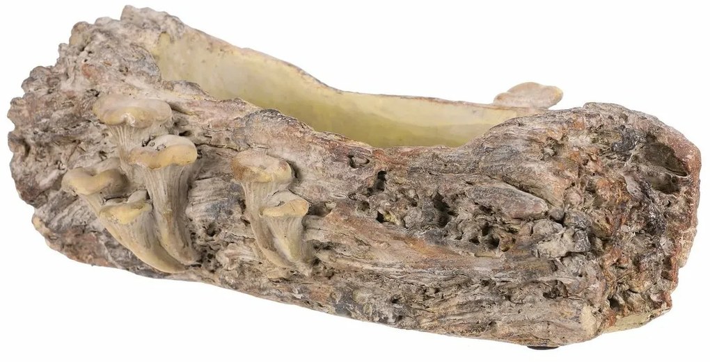Opakowanie betonowe - skrzynka, drewno z grzybami,36 x 18 x 13 cm, brązowe