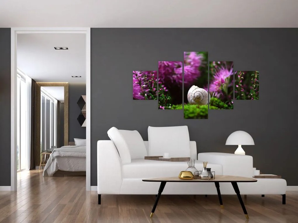 Obraz - Muszla ślimaka (125x70 cm)