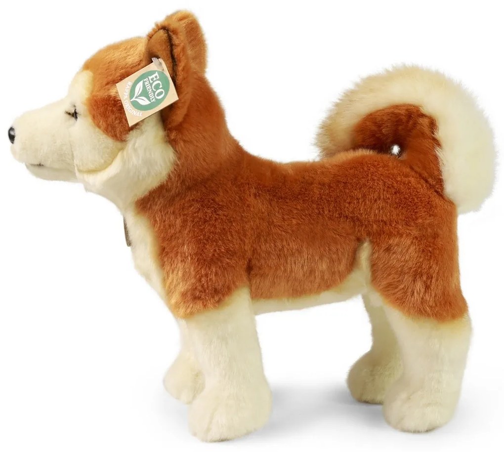 Rappa Pluszowy pies Akita Inu 30 cm