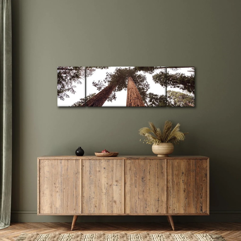 Obraz - Widok przez korony drzew (170x50 cm)