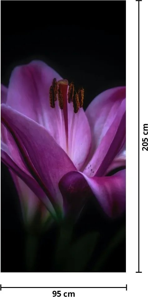 Fototapeta na drzwi - Lilie (95x205cm)