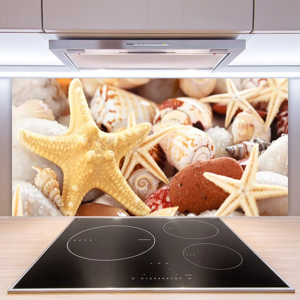 Panel Szklany Kompozycja Muszli na Brzegu