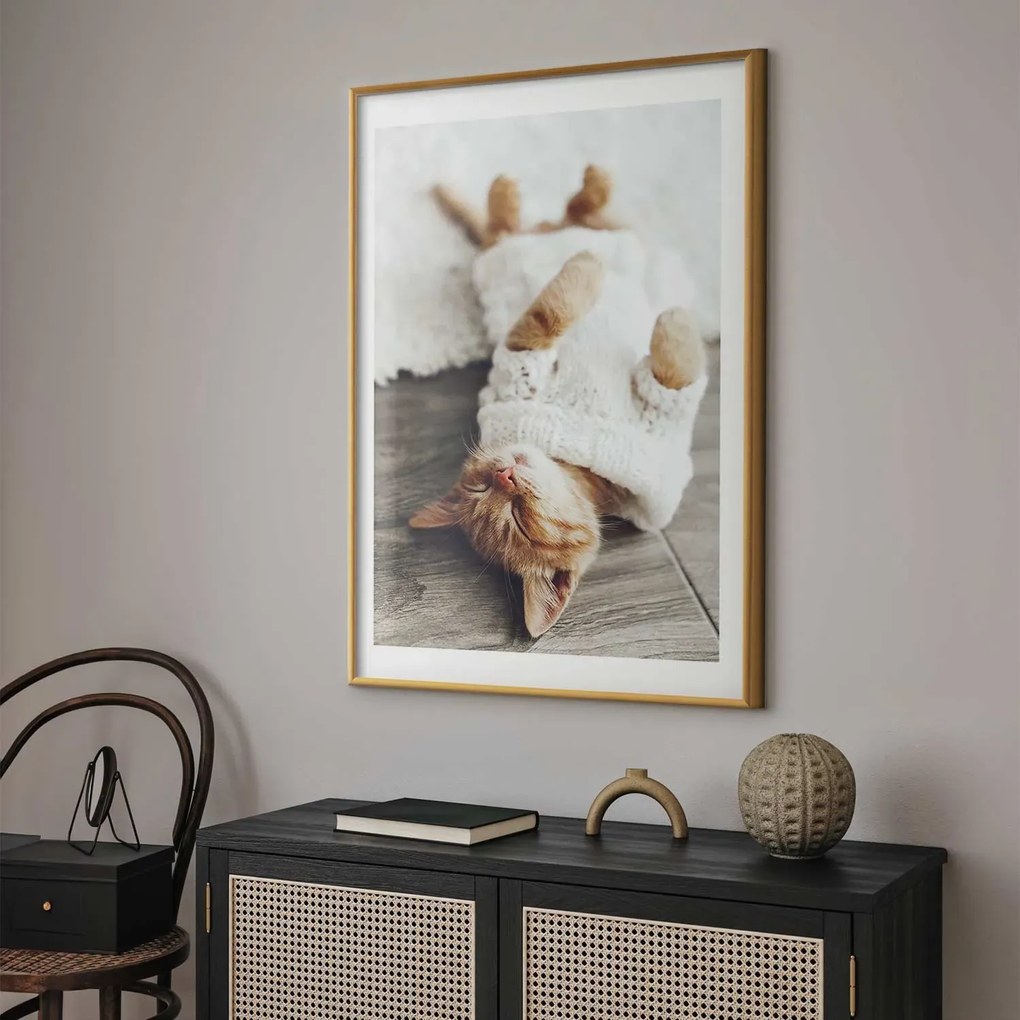 Plakat Leniwy kot 60x90 cm z ramą złotą z marginesem ARTGEIST B
