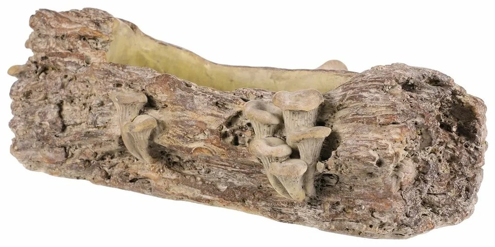Opakowanie betonowe - skrzynka, drewno z grzybami,41 x 19 x 13 cm, brązowe