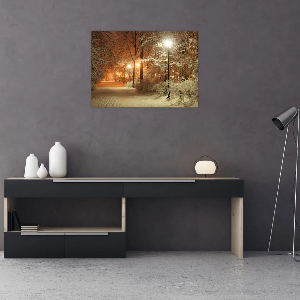 Obraz - Zaśnieżony park (70x50 cm)