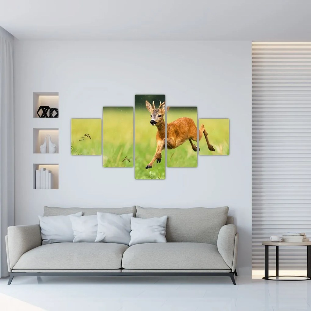 Obraz - Sarna (125x70 cm)