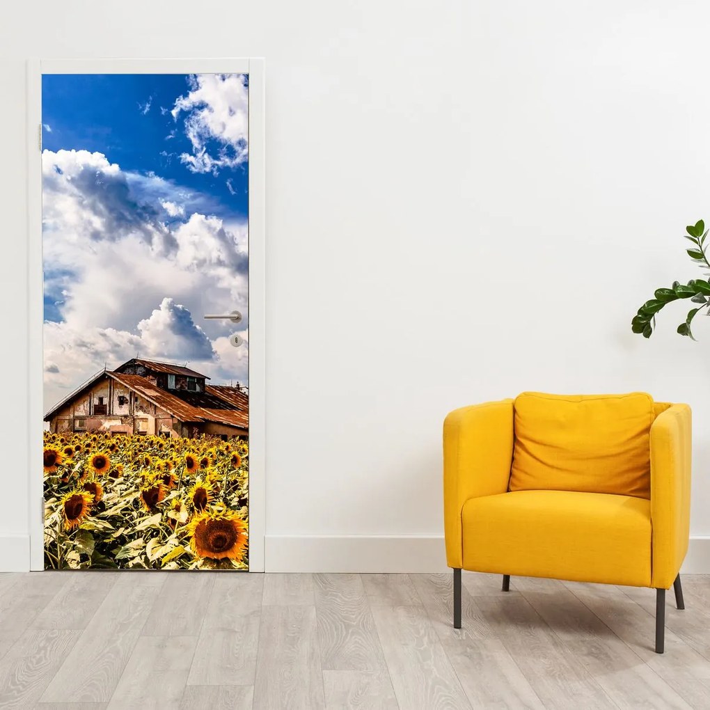 Fototapeta na drzwi - Pole słoneczników (95x205cm)