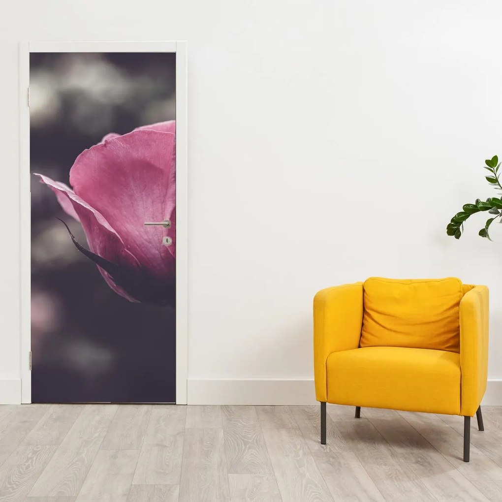 Fototapeta na drzwi - Detal kwiatu róży (95x205cm)