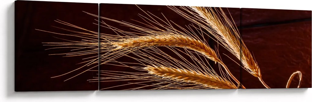 Obraz - Fragment kłosa żyta (170x50 cm)