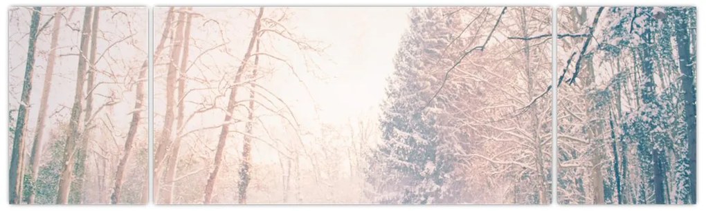 Obraz - Widok na las (170x50 cm)