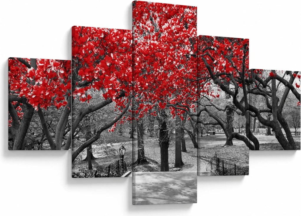 Obraz - Czerwone drzewa, Central Park, New York (125x70 cm)