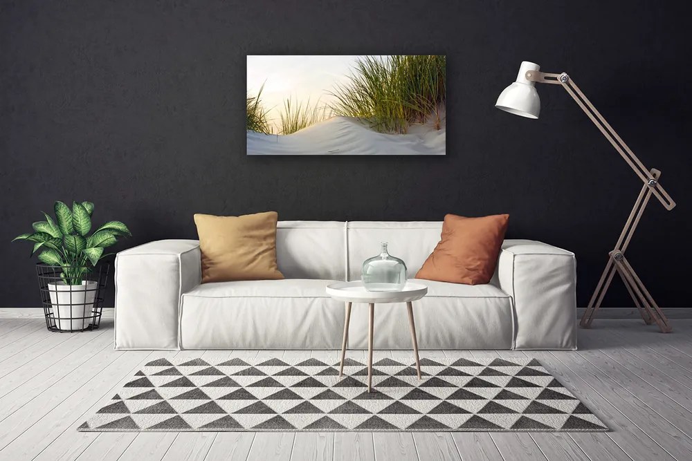 Obraz canvas na ścianę Wydmy Piaszczyste i Trawy