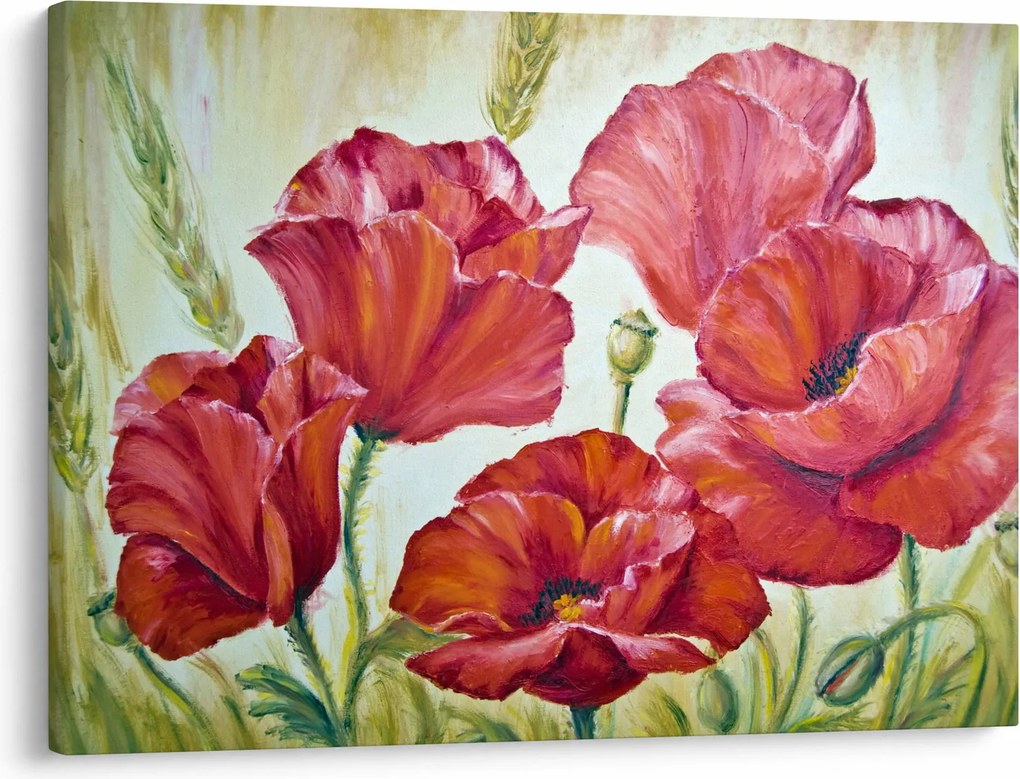 Obraz - Kwiaty maku (70x50 cm)