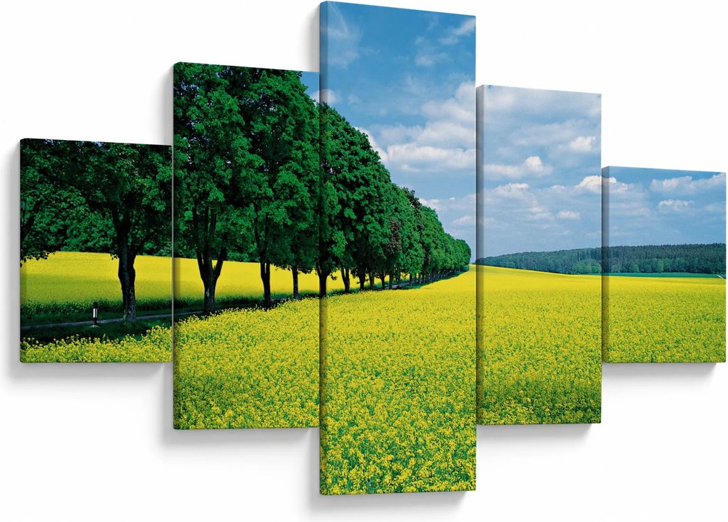 Obraz pola z aleją (125x70 cm)