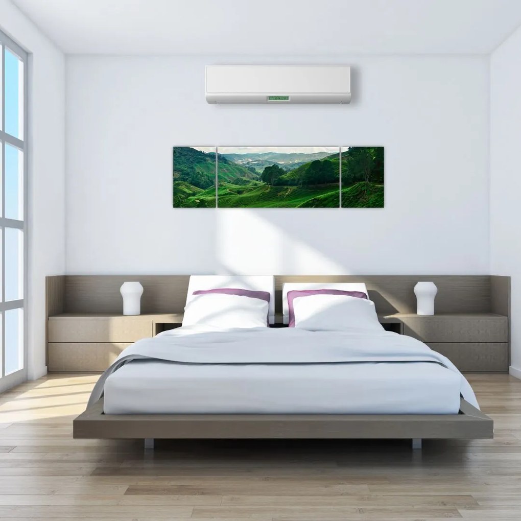 Obraz - Plantacje herbaty w Malezji (170x50 cm)