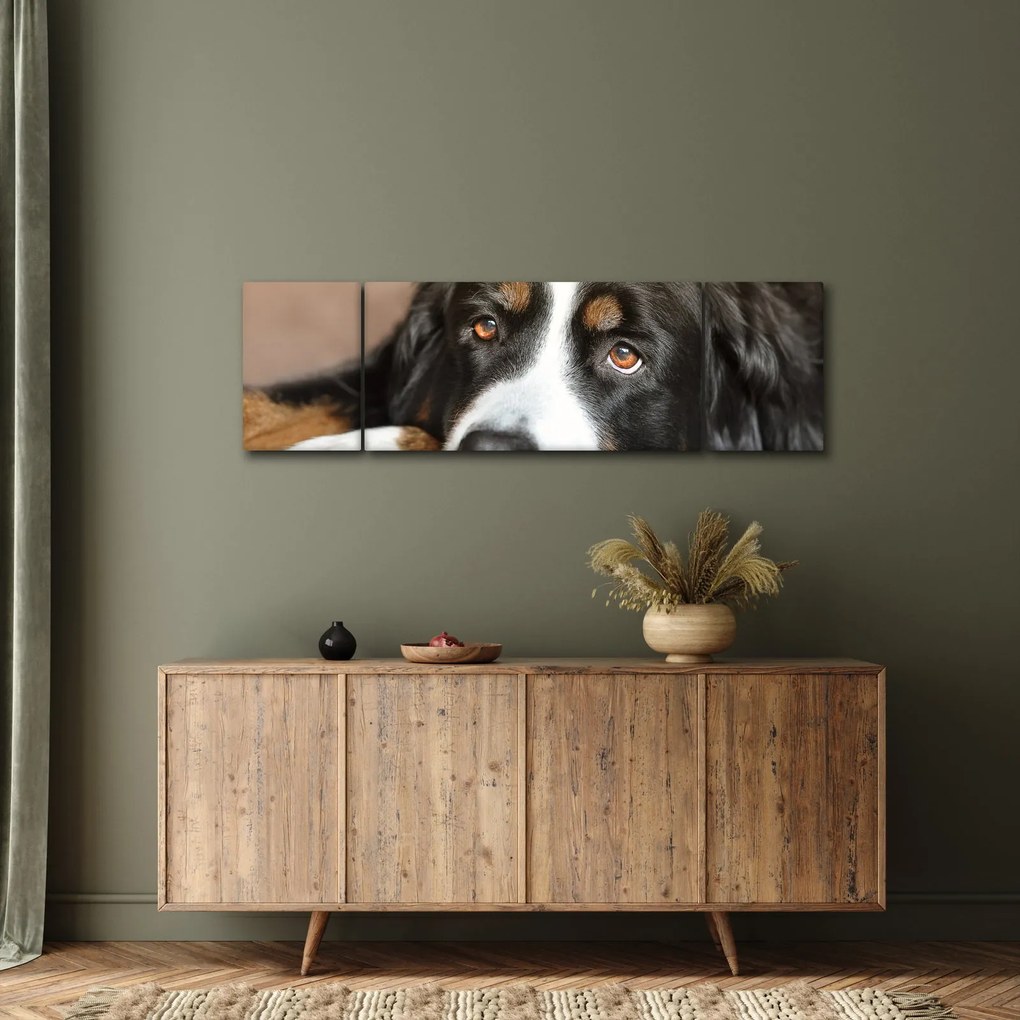 Obraz psa (170x50 cm)