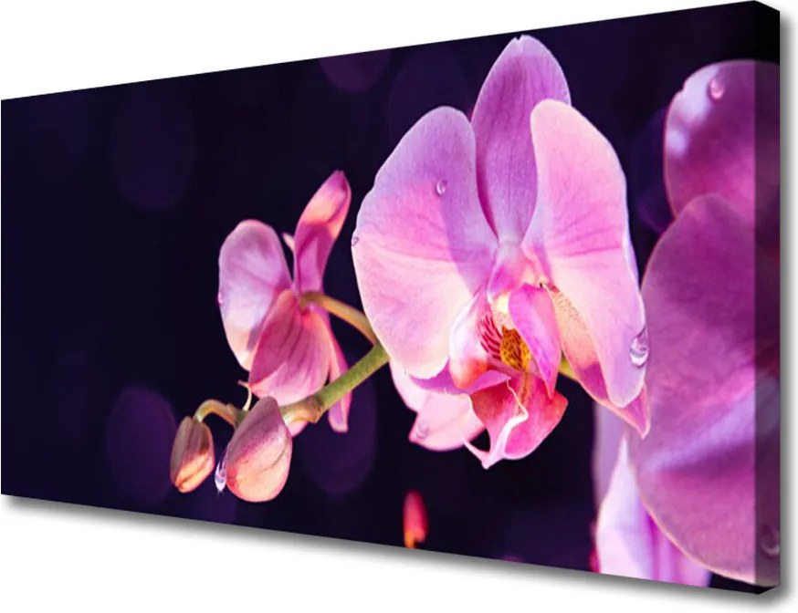 Obraz na płótnie Kompozycja Kwiatów i Liści