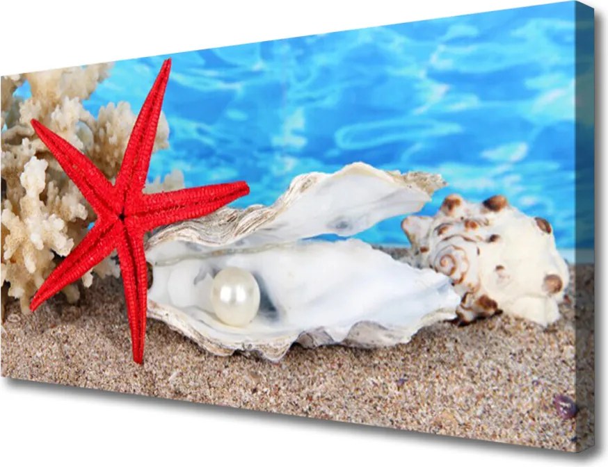 Obraz canvas Skarby Oceanicznego Dna