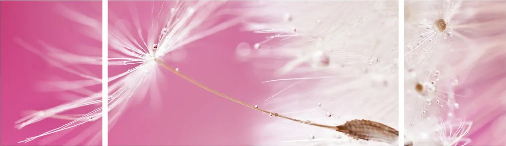 Obraz - Makro kwiat (170x50 cm)