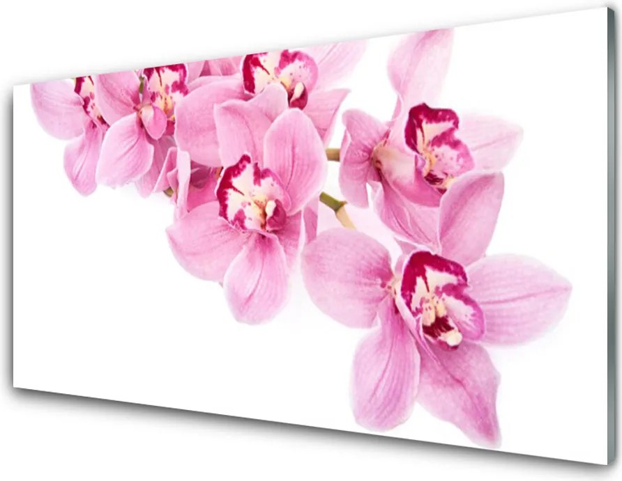 Szkło do Kuchni na Ścianę Pełnia Kwiatowej Natury