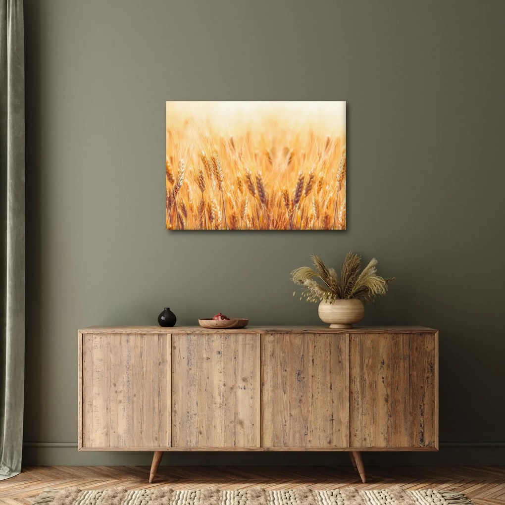 Obraz - pole z ziarnami (70x50 cm)