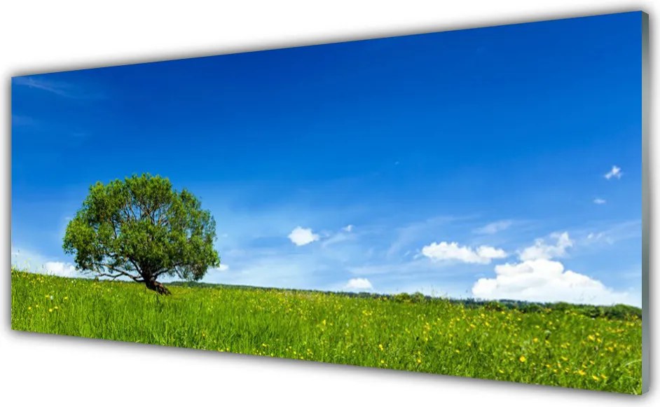 Panel Kuchenny Zielony Pejzaż Parkowy