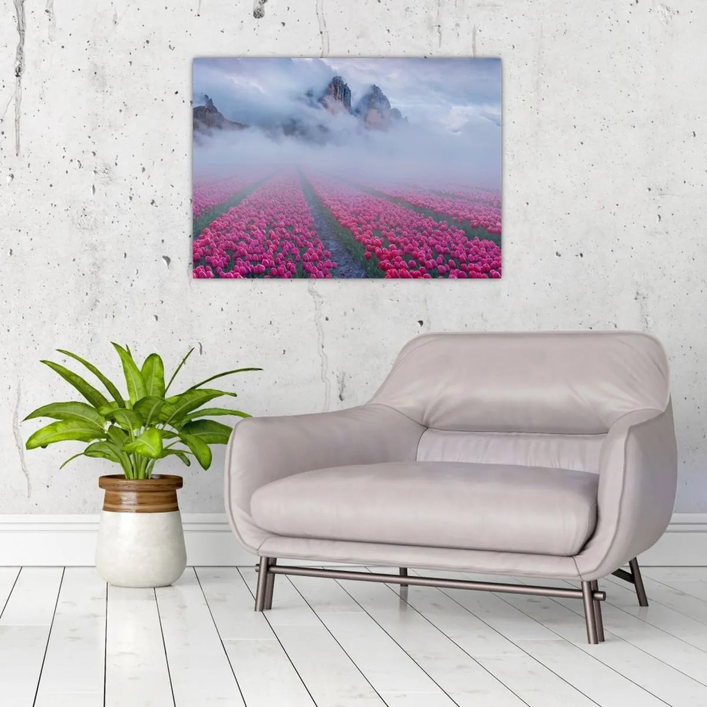 Obraz na szkle - Krajobraz z polami tulipanów (70x50 cm)