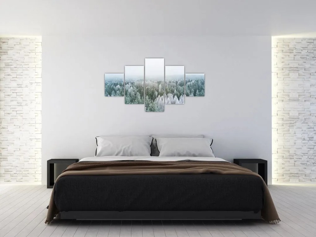 Obraz - Ośnieżone szczyty lasów (125x70 cm)