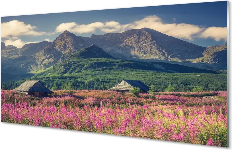 Panel nad Blat Kuchenny Sielskie Chaty w Górach