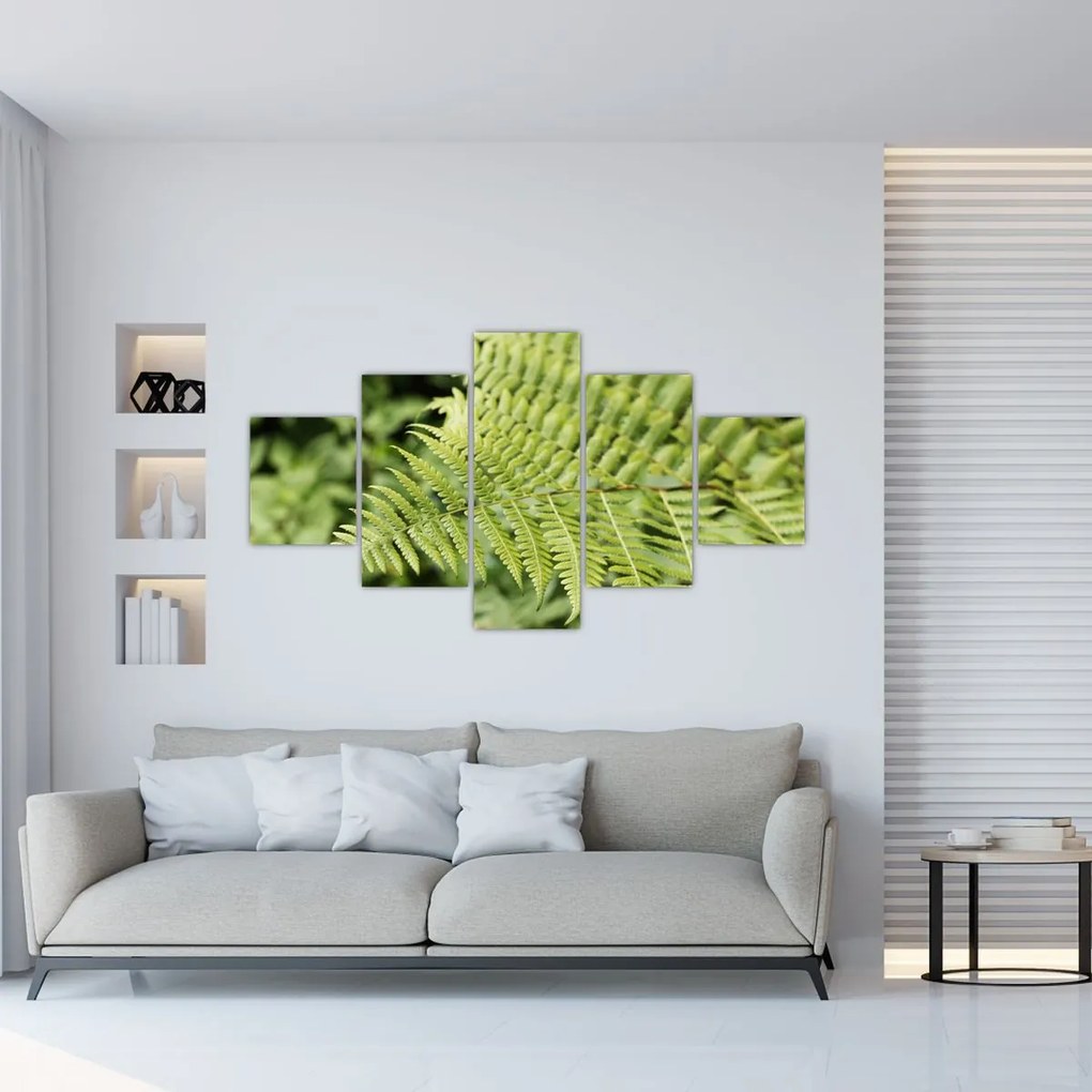 Obraz - Liść paproci (125x70 cm)