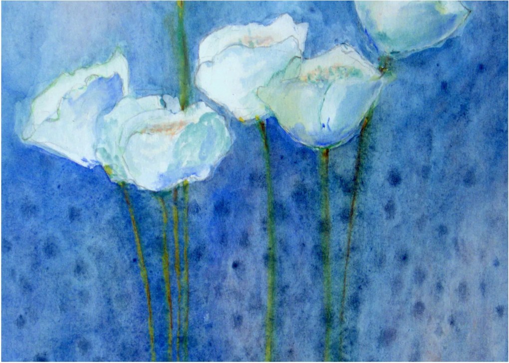 Obraz na szkle - Białe tulipany (70x50 cm)