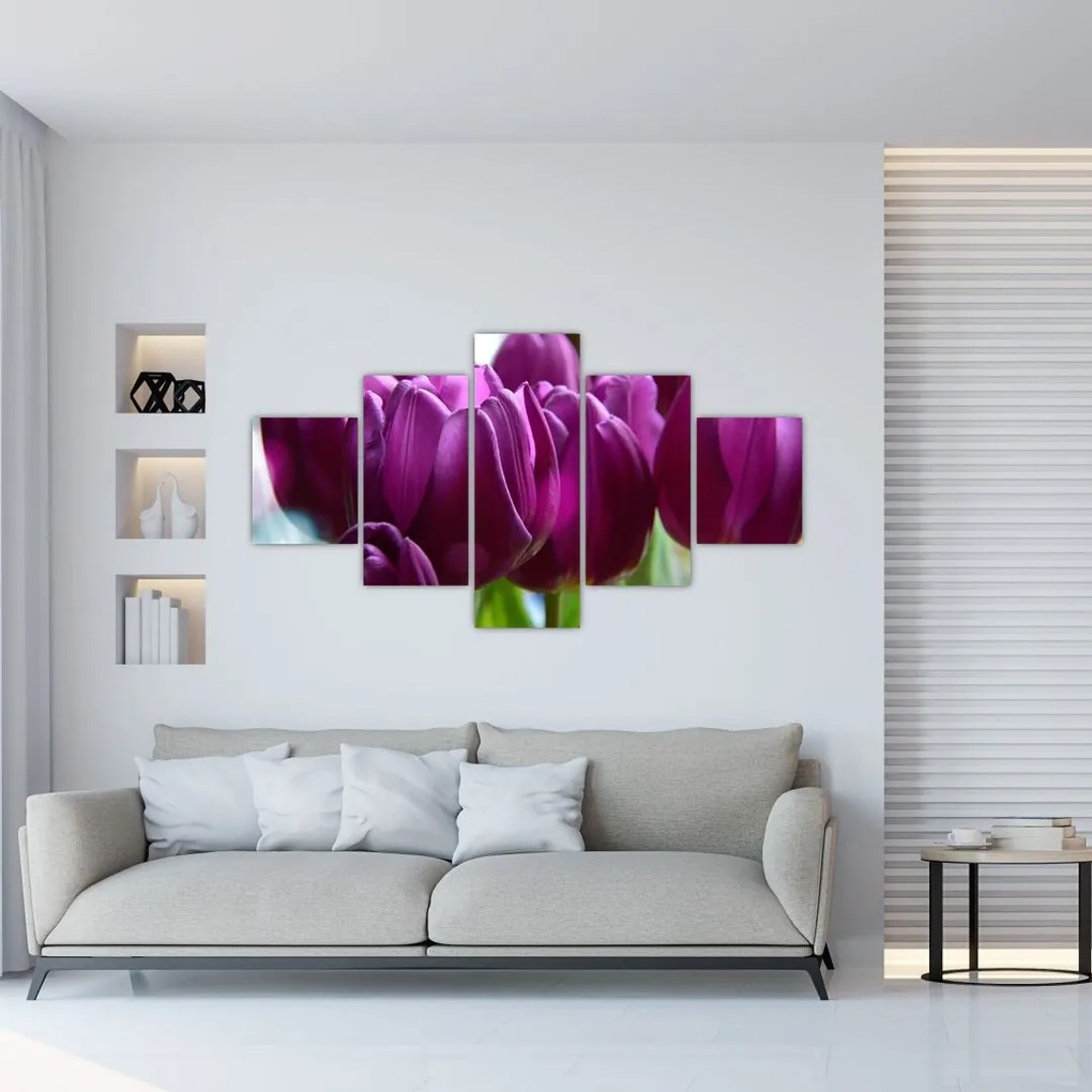 Obraz tulipanów (125x70 cm)