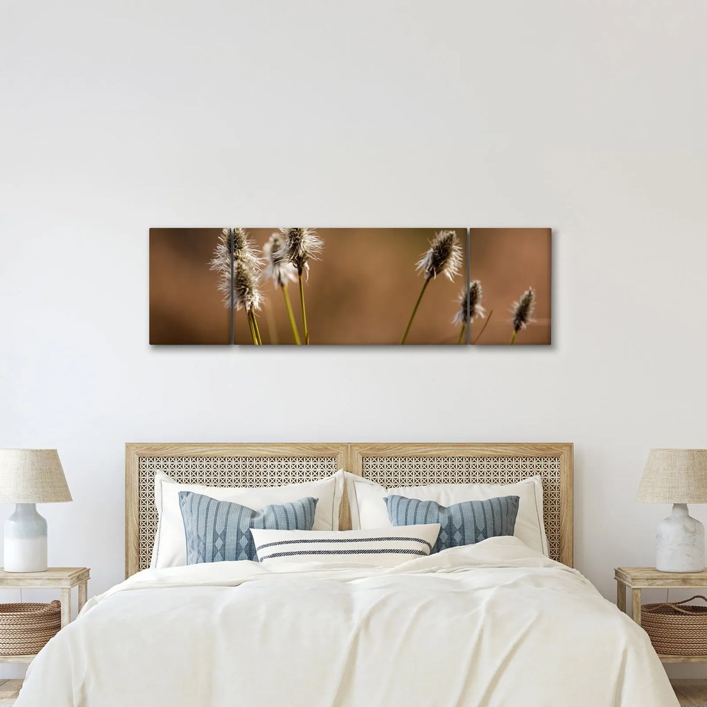 Obraz - Trawa (170x50 cm)