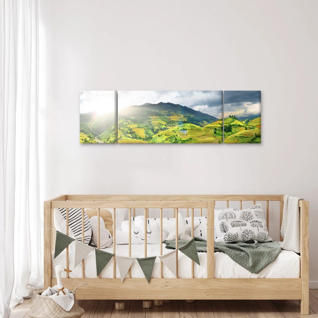 Obraz plantacji (170x50 cm)