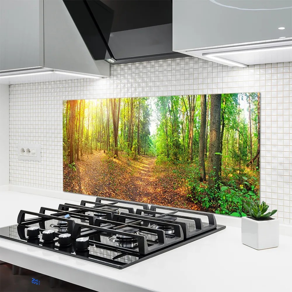 Panel Kuchenny Głusza Starego Lasu