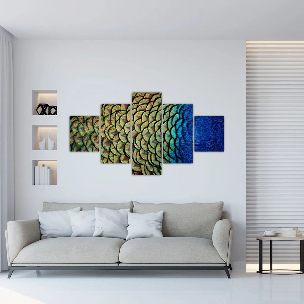 Obraz - Pawie pióra (125x70 cm)