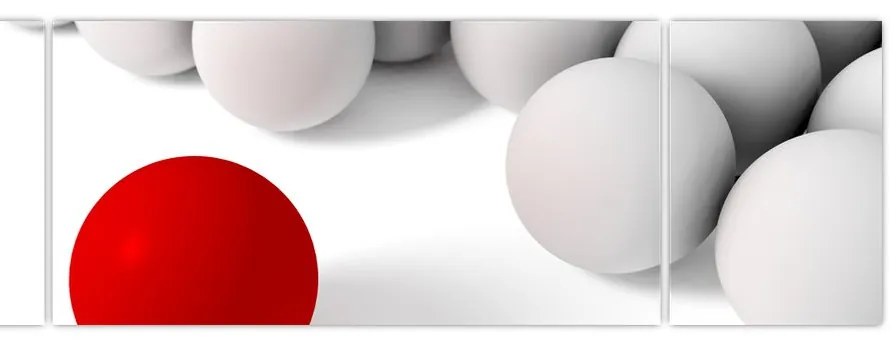 Obraz kuli (170x50 cm)