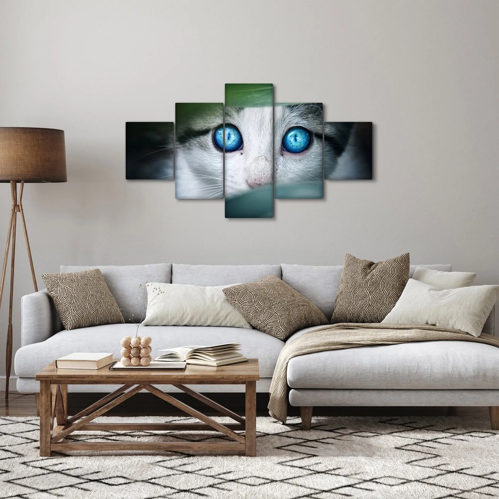Obraz kota (125x70 cm)