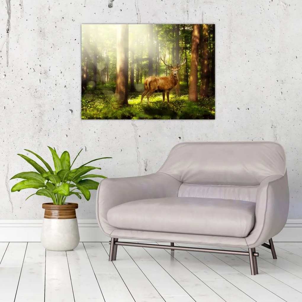 Obraz jelenia w lesie (70x50 cm)