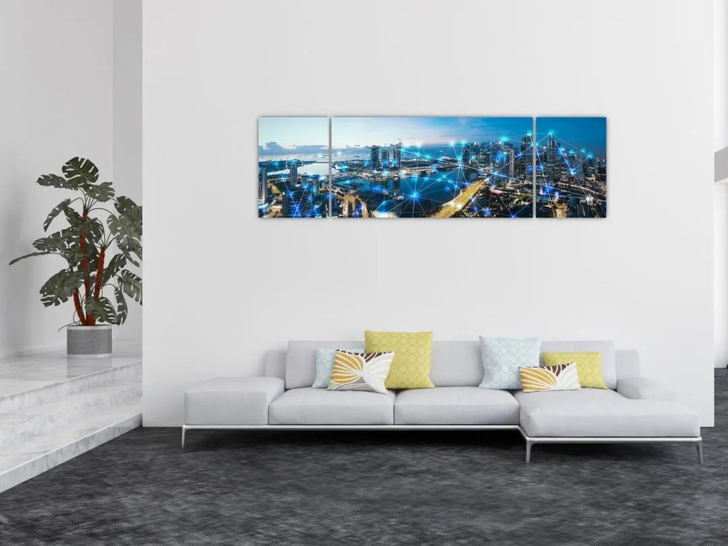 Obraz - Sieć miejska (170x50 cm)