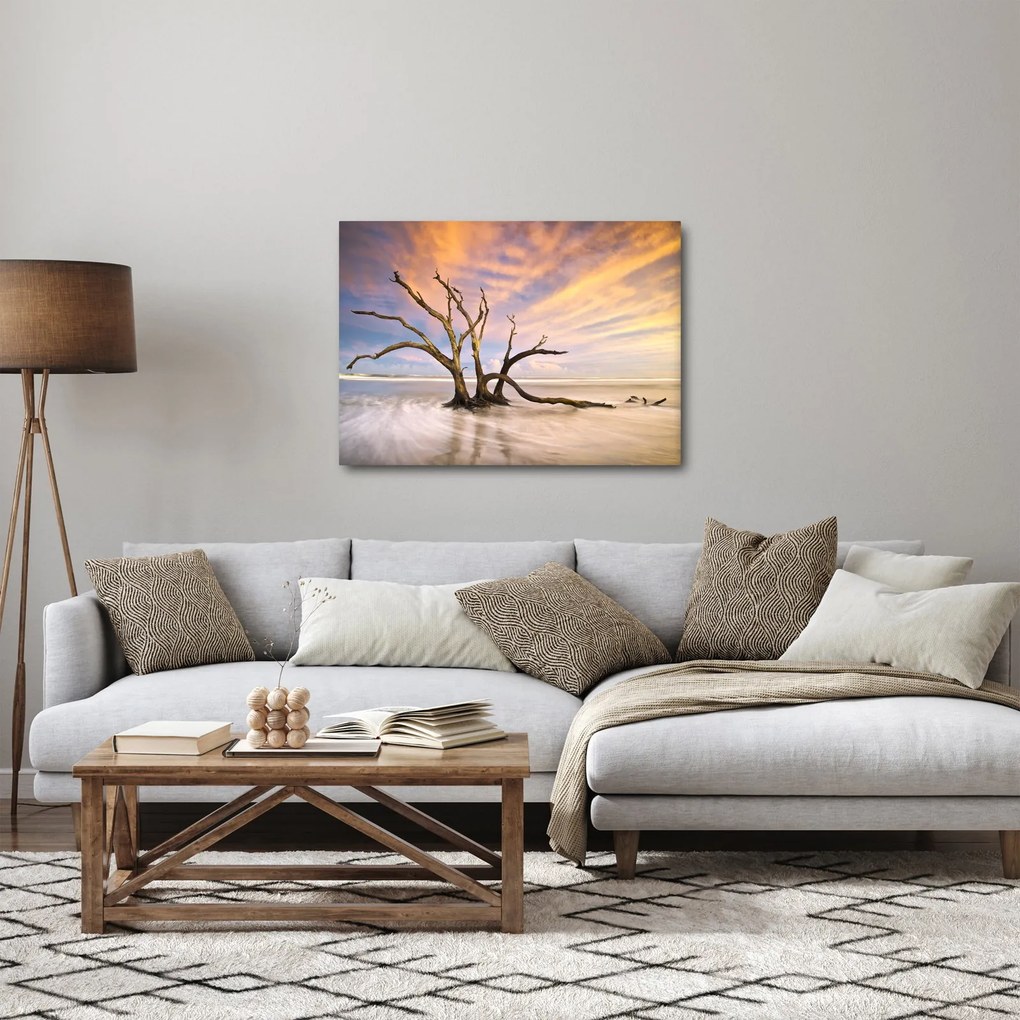 Obraz drzewa w oceanie (70x50 cm)
