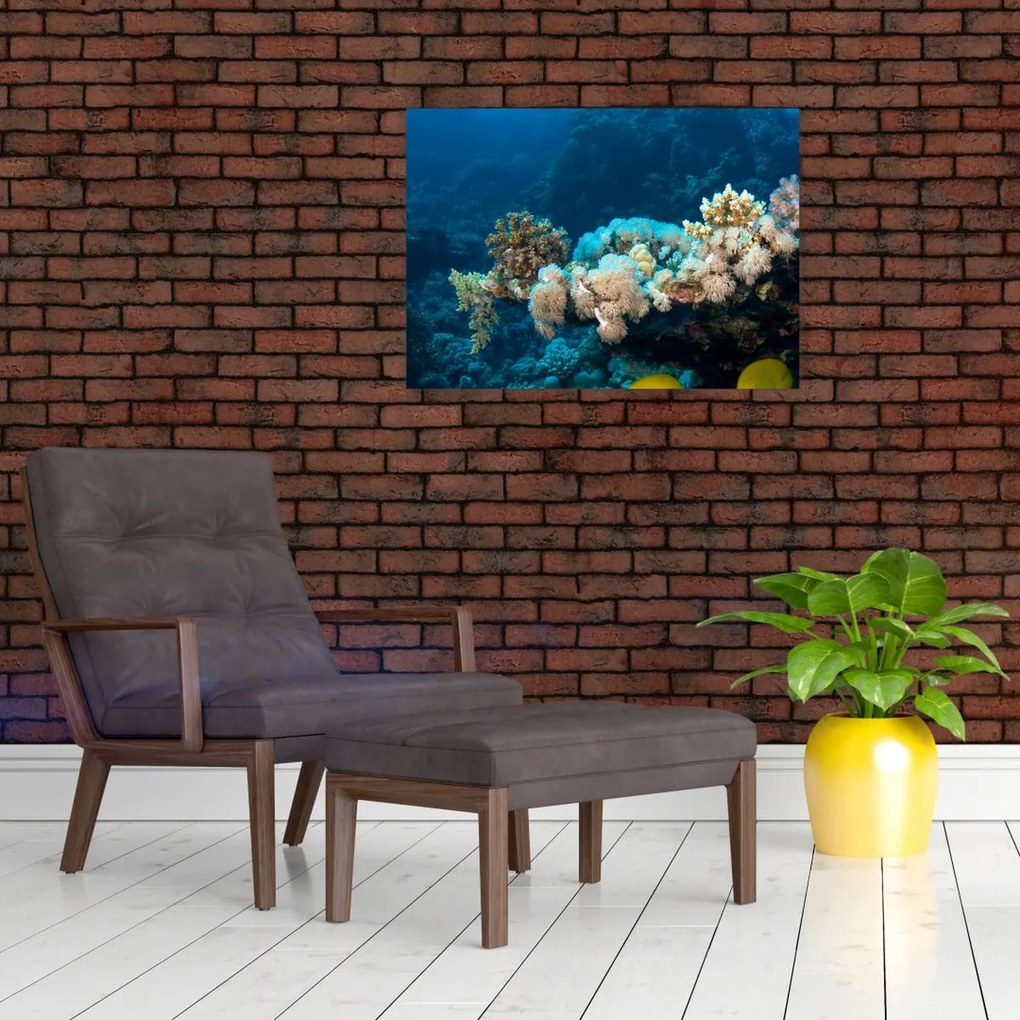 Obraz - W oceanie (70x50 cm)