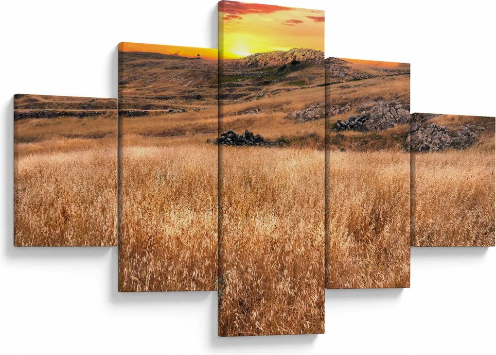 Obraz pola (125x70 cm)